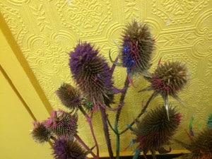 thistle-painting